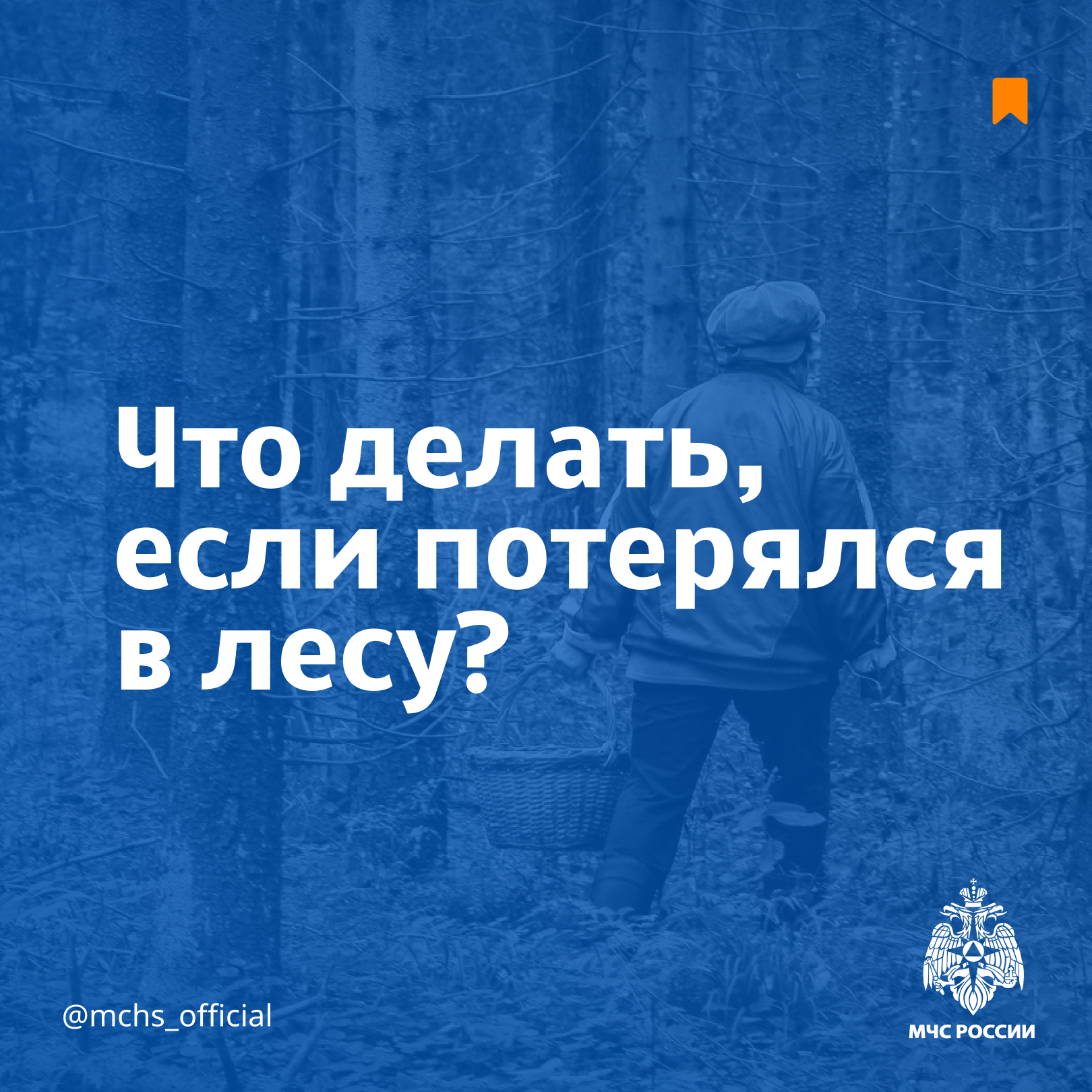 Что делать, если потерялся в лесу!.